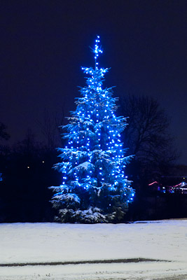 Christmas Tree on The Green