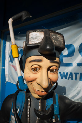 My dive buddy doesn't say a lot......