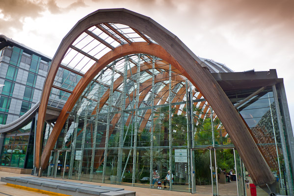Sheffield Winter Gardens
