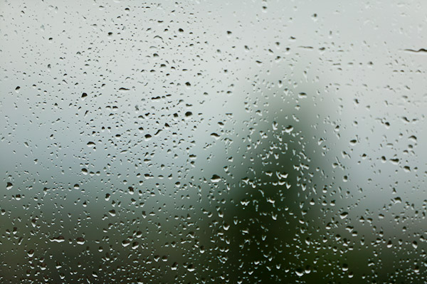 Rain on my window pane!