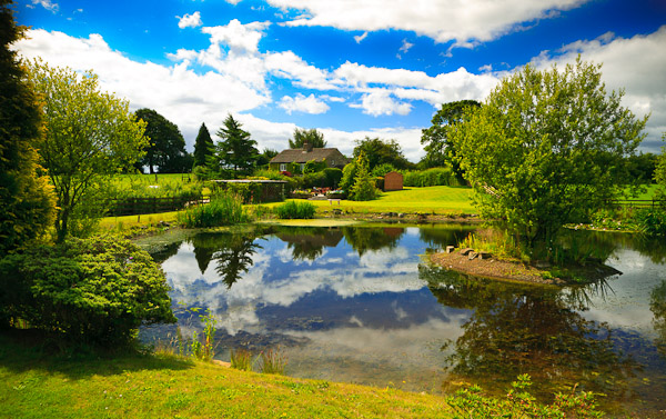 The Lake at Wetlands