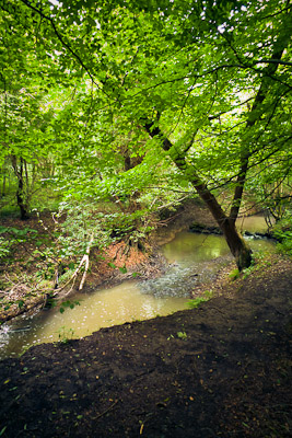 Stream at Eckington