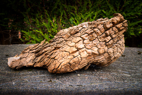 Drift wood