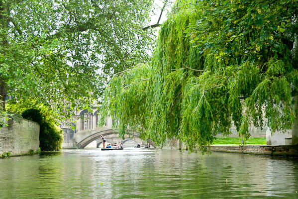 Punting in Cambridge