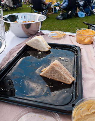 Who ate all the sandwiches?