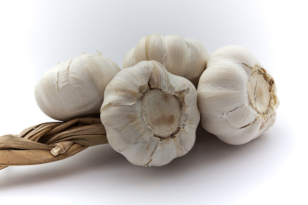 Garlic