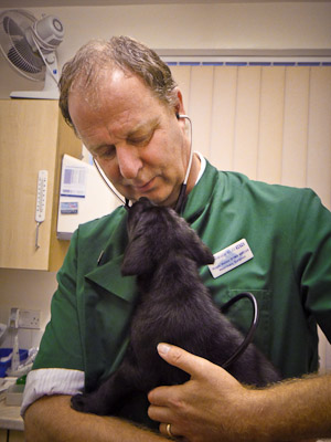 Our vet Roger checks out Bartie