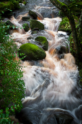 Padley Gorge, Grindleford