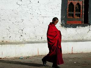 DSCN4347.JPG
