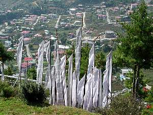 DSCN4378.JPG