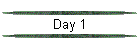 Day 1