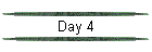 Day 4