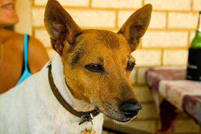 2007-03-17_400D1_IMG_2688.jpg