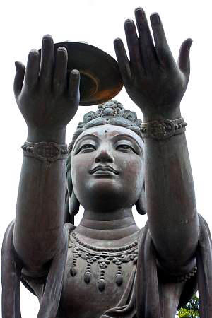 2009-11-11_Canon EOS 40D_IMG_1613.jpg