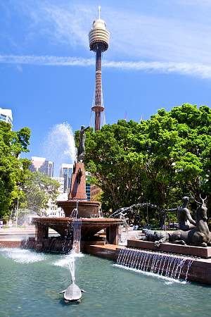 2009-11-14_Canon EOS 40D_IMG_1805.jpg