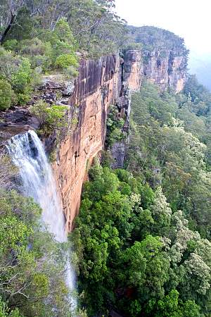 2009-11-15_Canon EOS 40D_IMG_1852.jpg