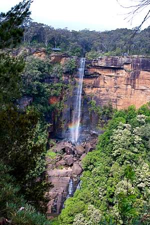 2009-11-15_Canon EOS 40D_IMG_1853.jpg