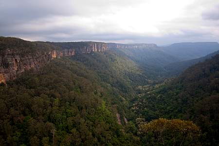 2009-11-15_Canon EOS 40D_IMG_1855.jpg