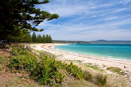 2009-11-16_Canon EOS 40D_IMG_1863.jpg