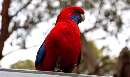 2009-11-16_Canon EOS 40D_IMG_1882.jpg