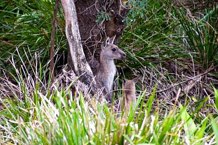 2009-11-16_Canon EOS 40D_IMG_1911.jpg