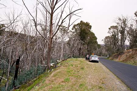 2009-11-19_Canon EOS 40D_IMG_2085.jpg