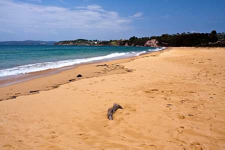 2009-11-22_Canon EOS 40D_IMG_2146.jpg