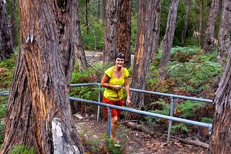 2009-11-23_Canon EOS 40D_IMG_2177.jpg