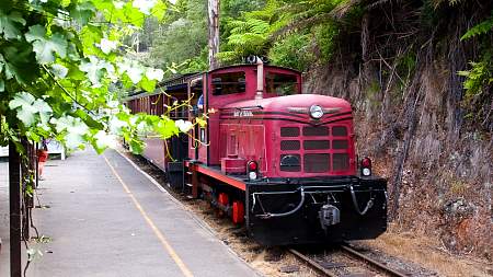 2009-11-25_Canon EOS 40D_IMG_2390.jpg
