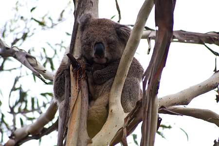 2009-11-27_Canon EOS 40D_IMG_2441.jpg