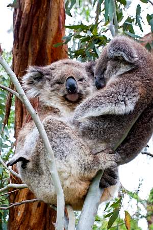 2009-11-27_Canon EOS 40D_IMG_2469.jpg