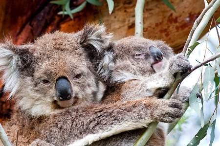 2009-11-27_Canon EOS 40D_IMG_2524.jpg