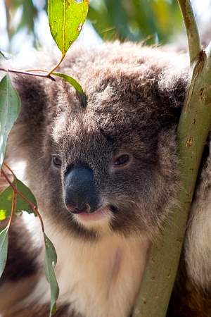 2009-11-27_Canon EOS 40D_IMG_2533.jpg