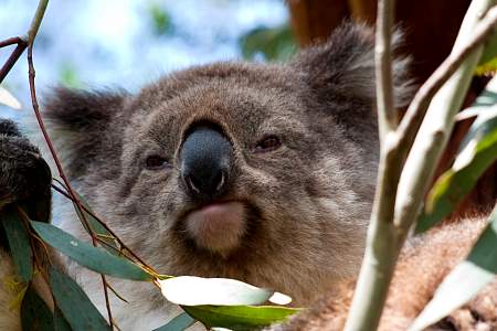 2009-11-27_Canon EOS 40D_IMG_2547.jpg