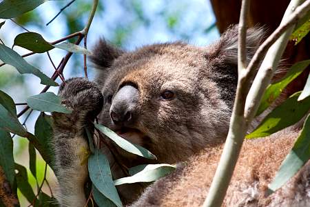 2009-11-27_Canon EOS 40D_IMG_2554.jpg