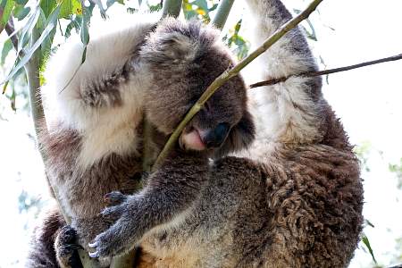 2009-11-27_Canon EOS 40D_IMG_2565.jpg