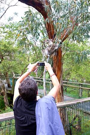 2009-11-27_Canon EOS 40D_IMG_2567.jpg