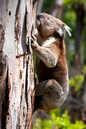 2009-11-27_Canon EOS 40D_IMG_2577.jpg