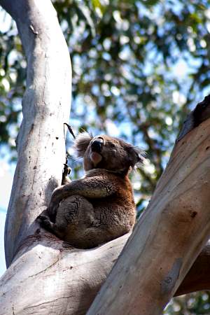 2009-11-27_Canon EOS 40D_IMG_2594.jpg