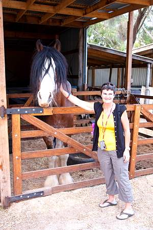 2009-11-27_Canon EOS 40D_IMG_2683.jpg