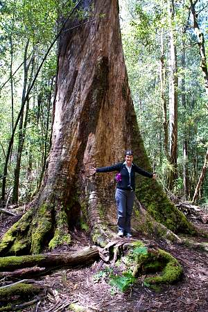 2009-12-01_Canon EOS 40D_IMG_2706.jpg