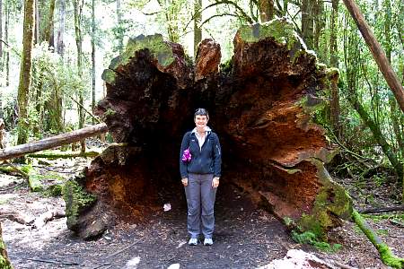 2009-12-01_Canon EOS 40D_IMG_2707.jpg