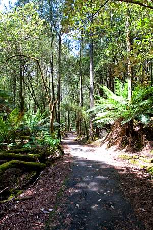 2009-12-01_Canon EOS 40D_IMG_2709.jpg