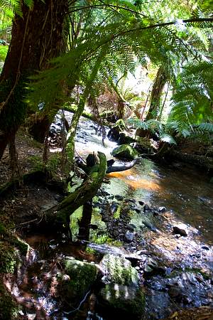 2009-12-01_Canon EOS 40D_IMG_2716.jpg