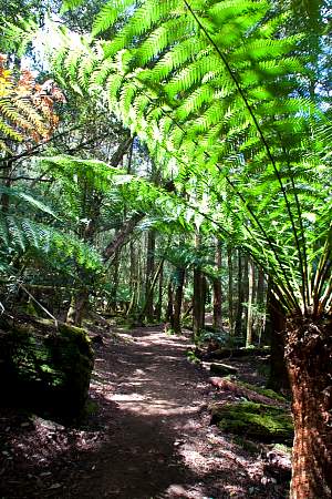 2009-12-01_Canon EOS 40D_IMG_2742.jpg