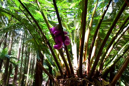 2009-12-01_Canon EOS 40D_IMG_2744.jpg