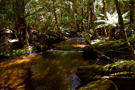 2009-12-01_Canon EOS 40D_IMG_2766.jpg