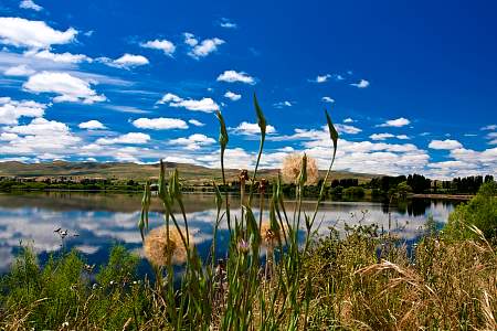 2009-12-01_Canon EOS 40D_IMG_2787.jpg