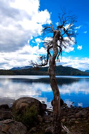 2009-12-01_Canon EOS 40D_IMG_2819.jpg