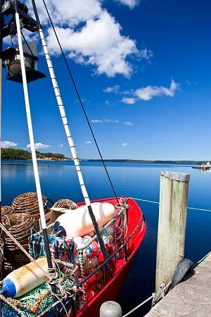 2009-12-02_Canon EOS 40D_IMG_2869.jpg